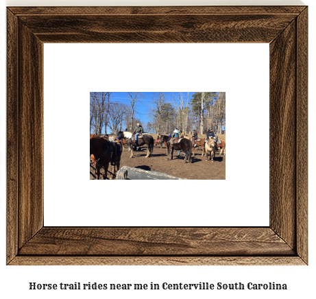 horse trail rides near me in Centerville, South Carolina